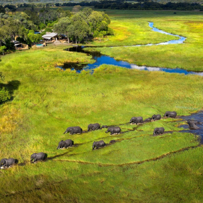 delta okavango, safari afryka, botswana safari, botswana, botswana safari, kgalagadi transfrontier park